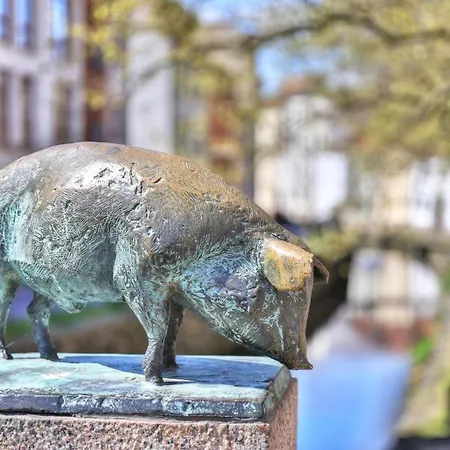 Ohlerich Speicher App_ 40 *